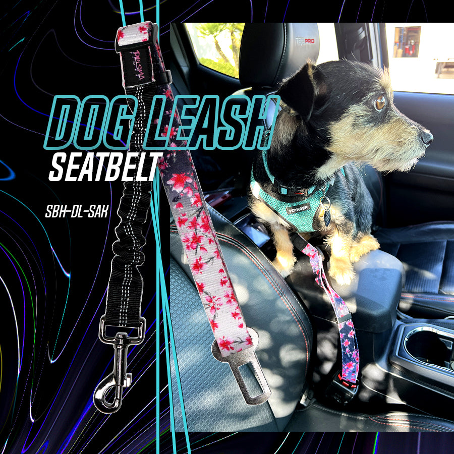 SEAT BELT FOR PAW FRIENDS