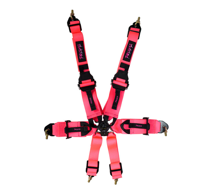 PRISMA RACING DEPT. – Prisma Lab